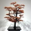 Automne, 2024 - Image 3