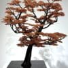 Automne, 2024 - Image 5