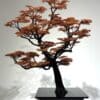 Automne, 2024 - Image 7