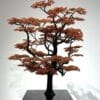Automne, 2024 - Image 2