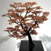 Automne, 2024 - Image 13